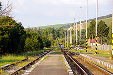 min 441 8.jpg